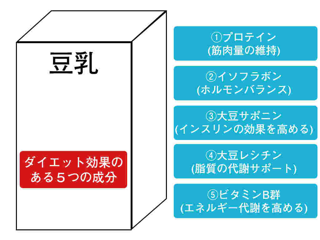 豆乳のダイエット効果の図