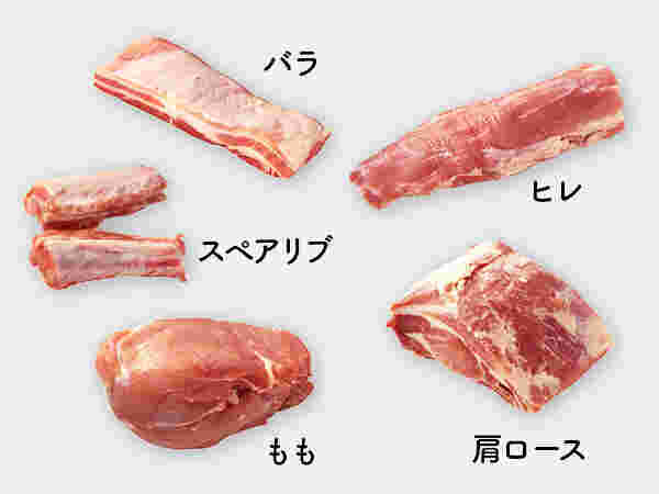 豚肉の各部位の名称