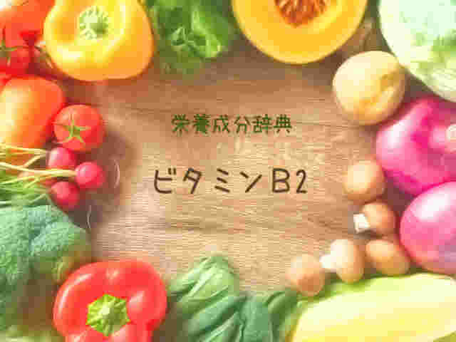 色々野菜とビタミンB2の栄養成分辞典の表紙