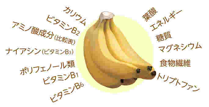 バナナとバナナが持つ栄養素