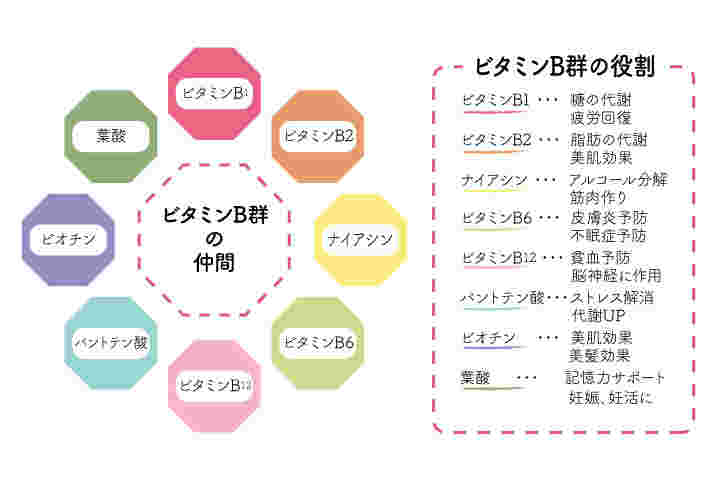 ビタミンB群の効果
