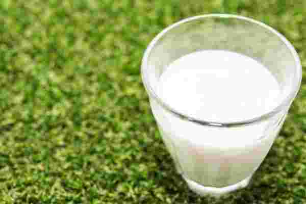 芝生のうえに置かれたグラスに入った牛乳の様子