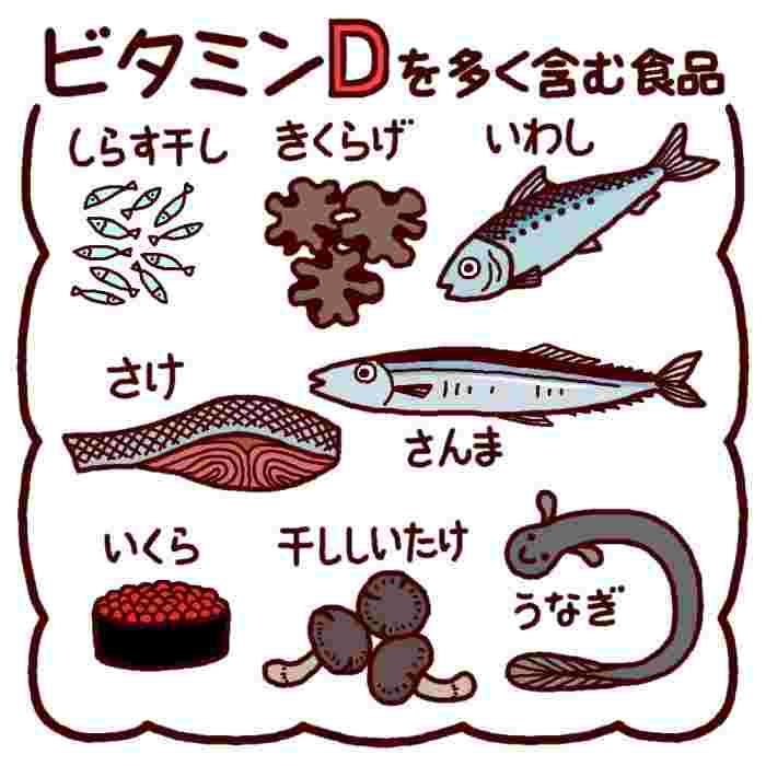 ビタミンDの多い食材