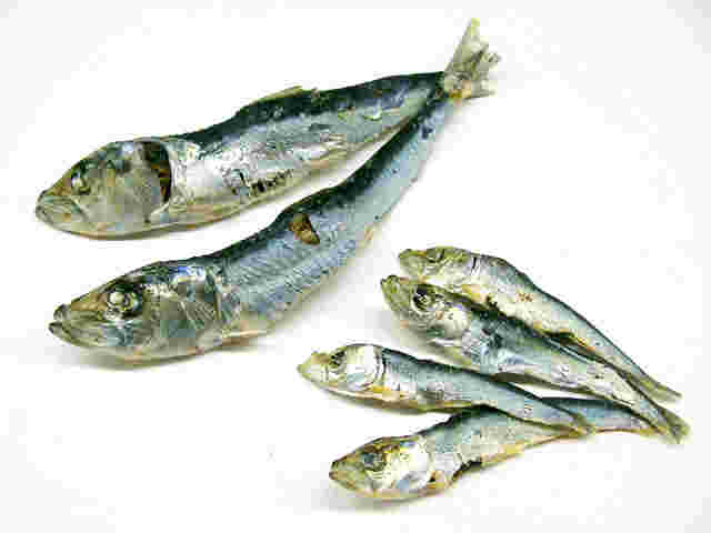 平子煮干し