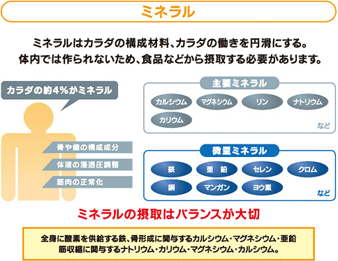 ミネラルの種類と役割を図式化したもの