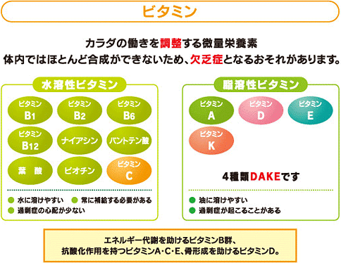 ビタミンの種類と役割を図式化したもの