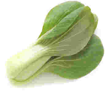チンゲン菜の画像