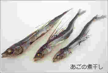 あご煮干し