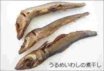 ウルメイワシ煮干し