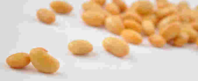 大豆の画像