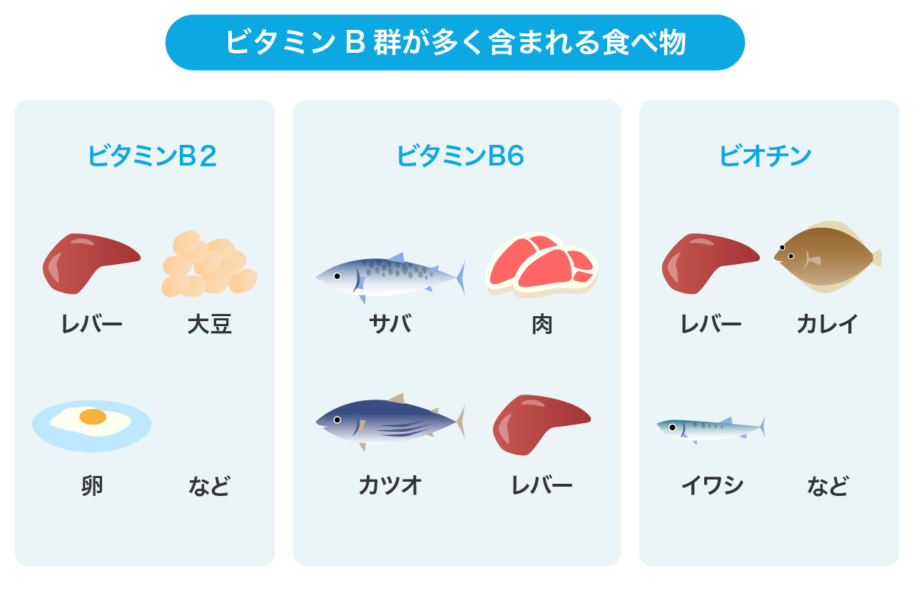 ビタミンB群が多く含まれる食べ物のイラスト