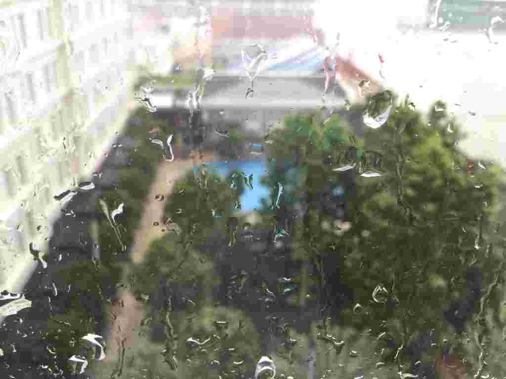 雨の日の画像