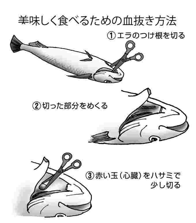 血抜きの方法を示したイラスト