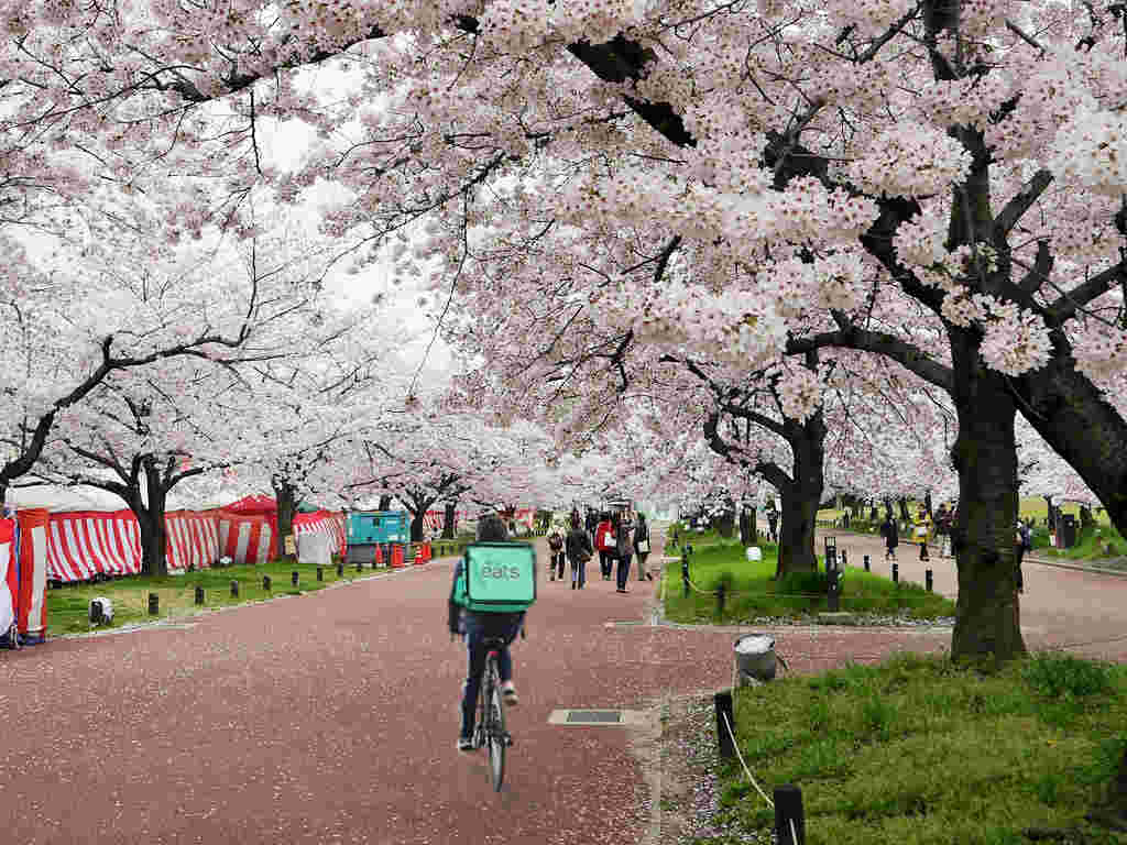 花見の公園でも配達可能なUberEatsのサービス