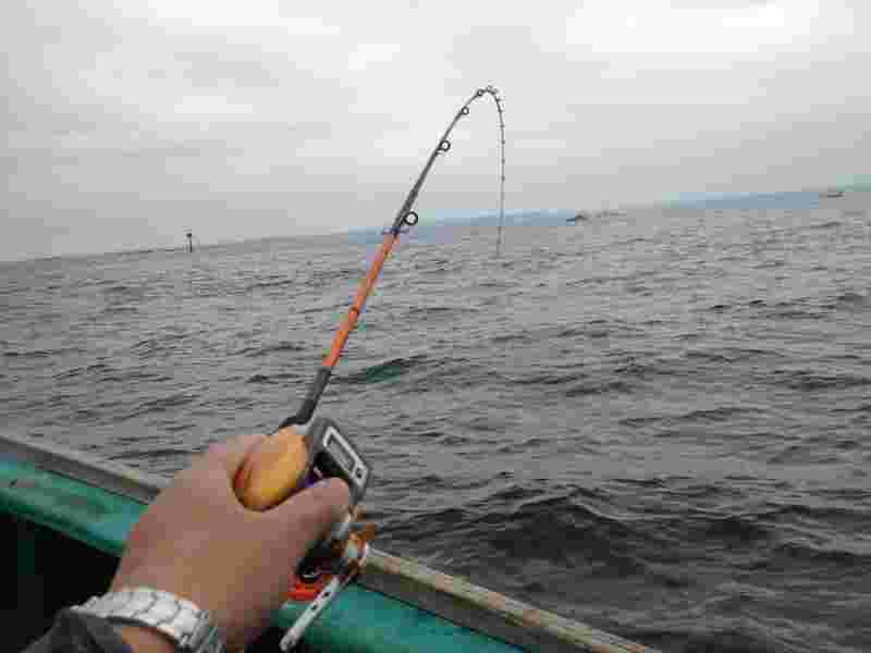 釣竿をひいている