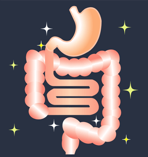 健康な胃腸