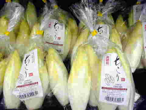 袋売りのチコリ