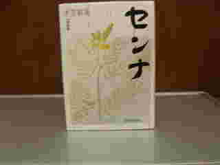センナ茶画像