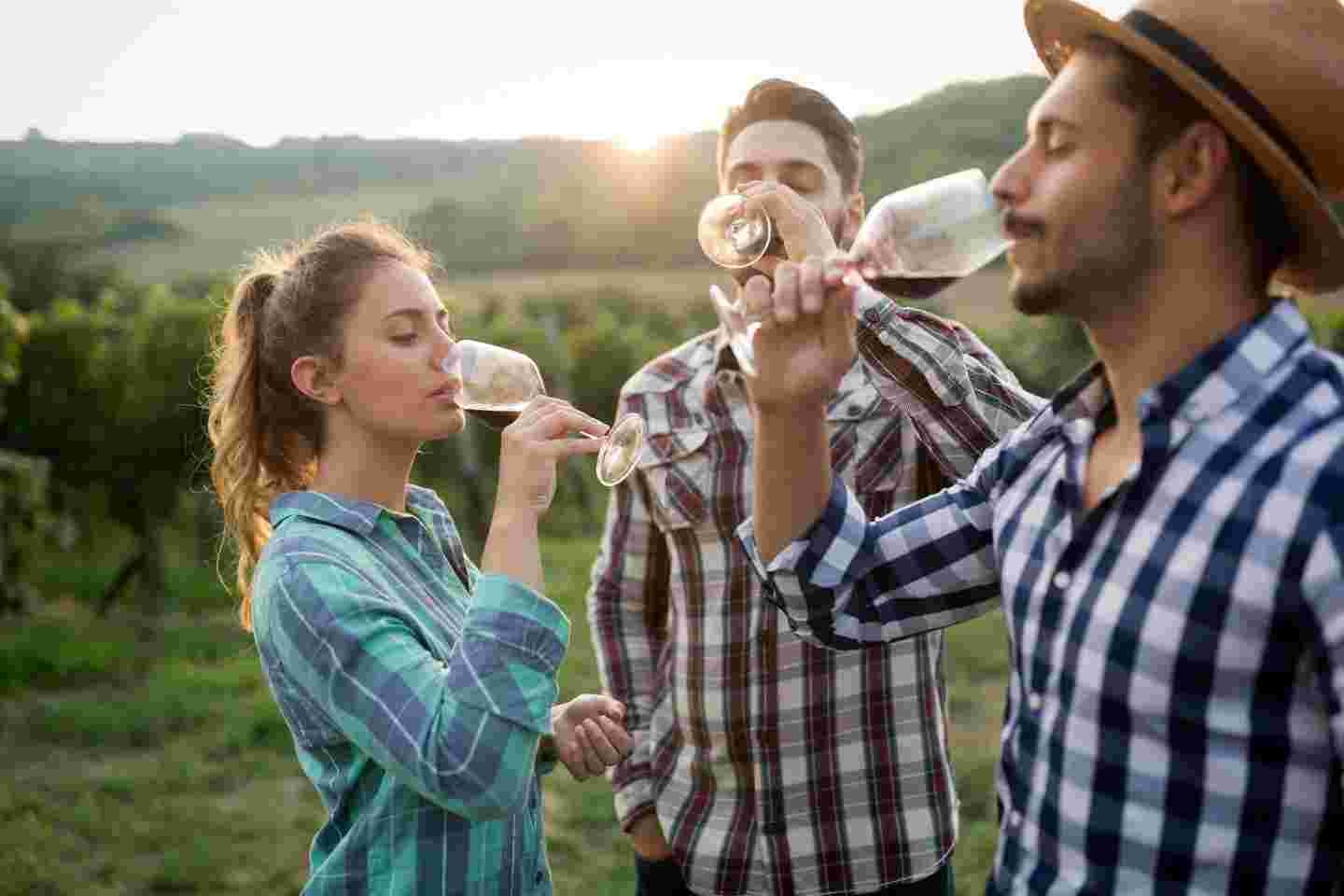 みんなでワインを飲んでいる画像