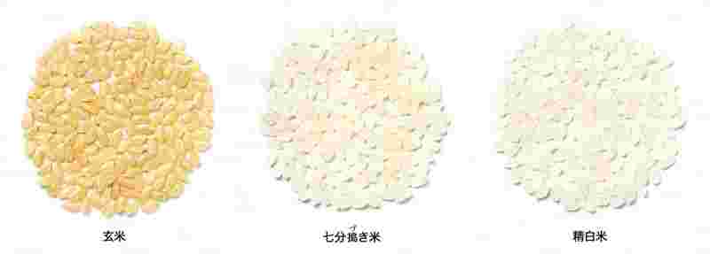 精米度合いでの呼び方の違い