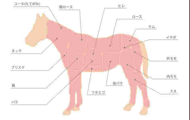 部位の説明の絵