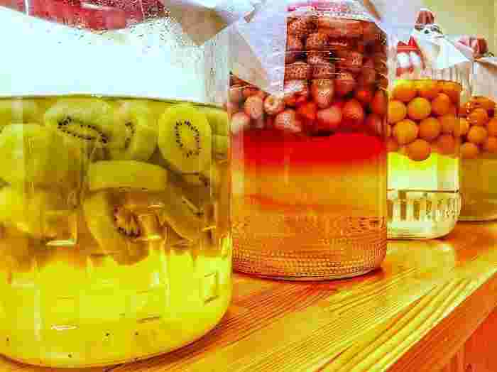 色々なスピリタスの果実酒