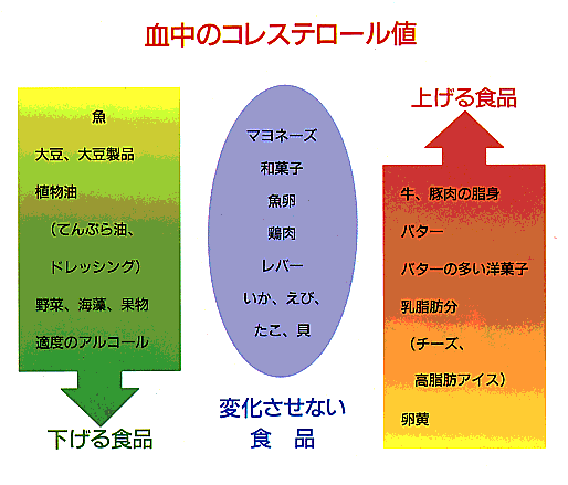 コレステロール値を下げる食品上げる食品の一覧