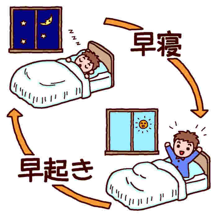 規則正しい生活
