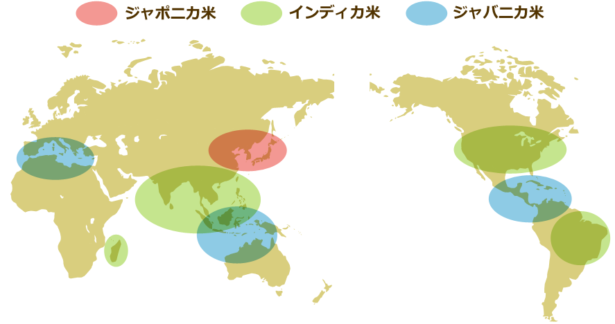 コメの種類ごとの主な生産地