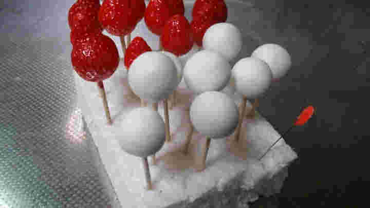 樹脂粘土の作品を乾燥させている画像