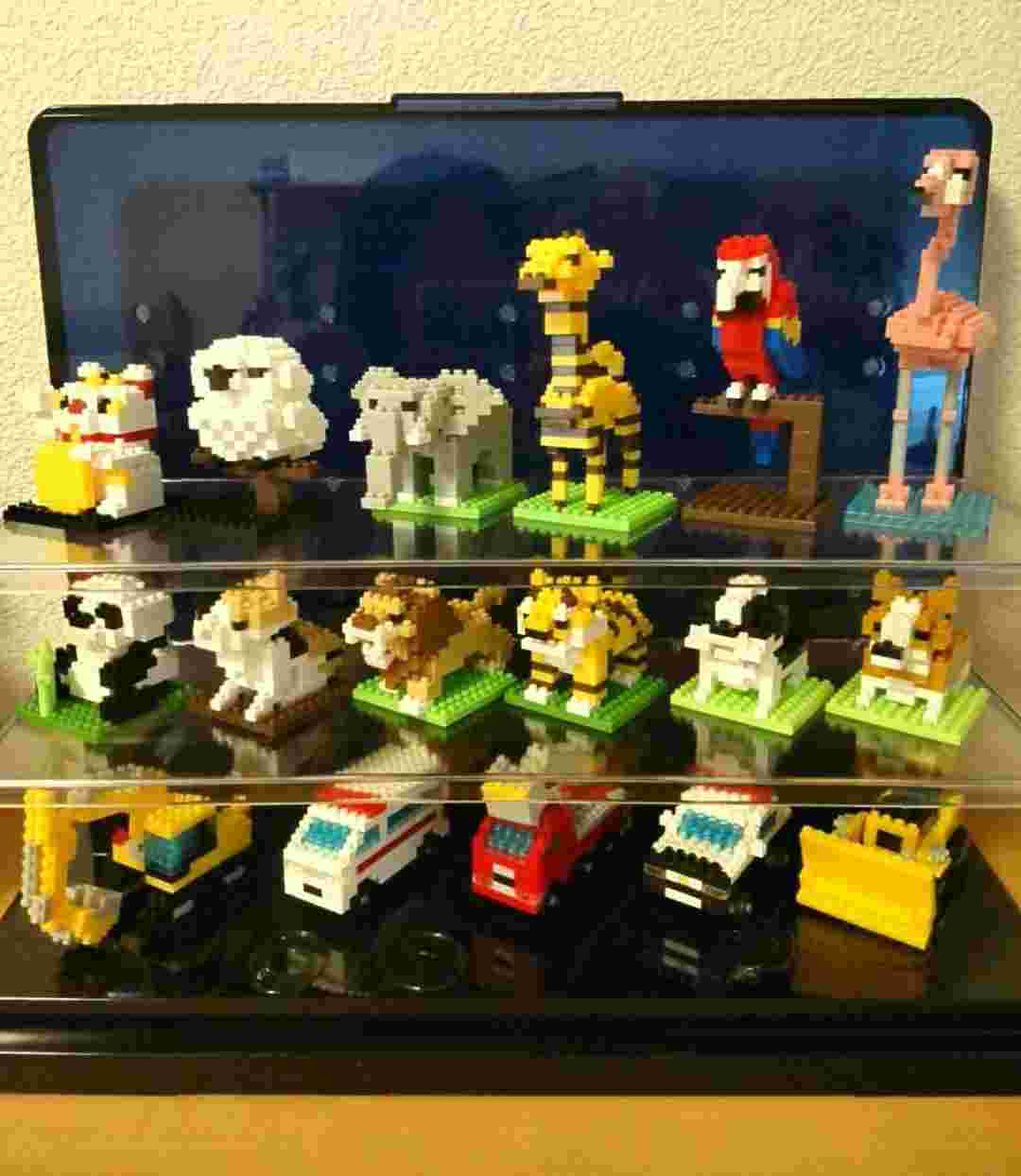 プチブロックをコレクションケースで展示している様子