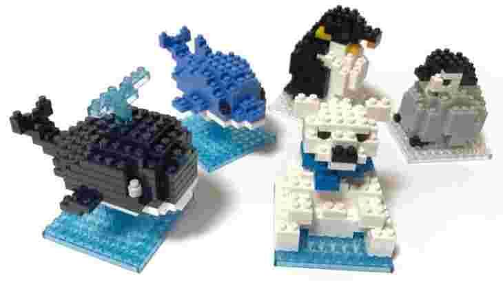 プチブロックの海のなかまの様子