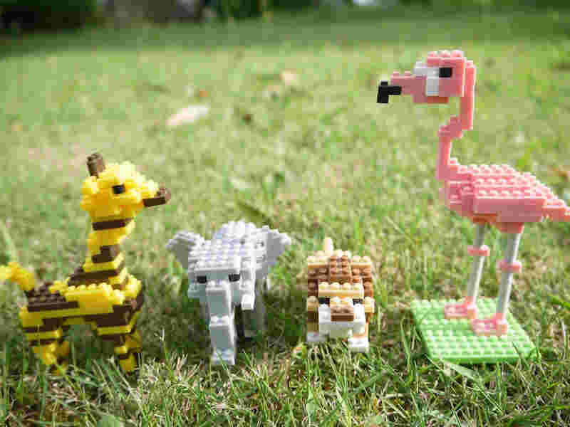 プチブロックの野生動物の様子