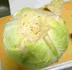 芯をとったキャベツ