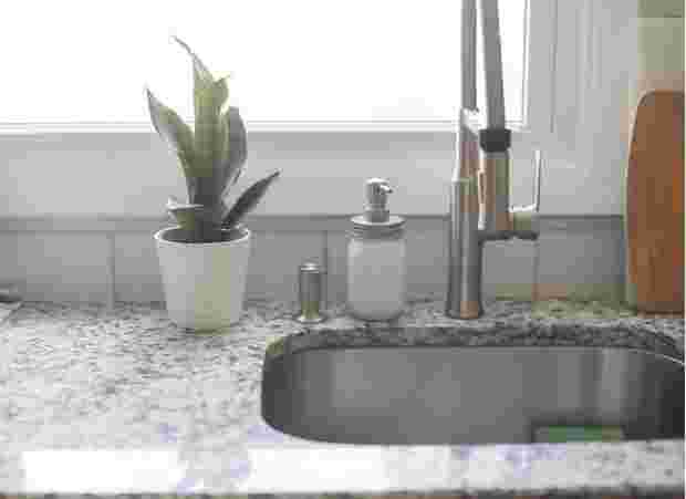 観葉植物が飾ってある清潔なキッチン