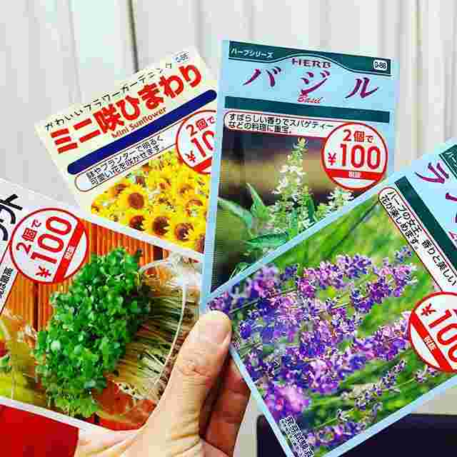 種の袋4種類