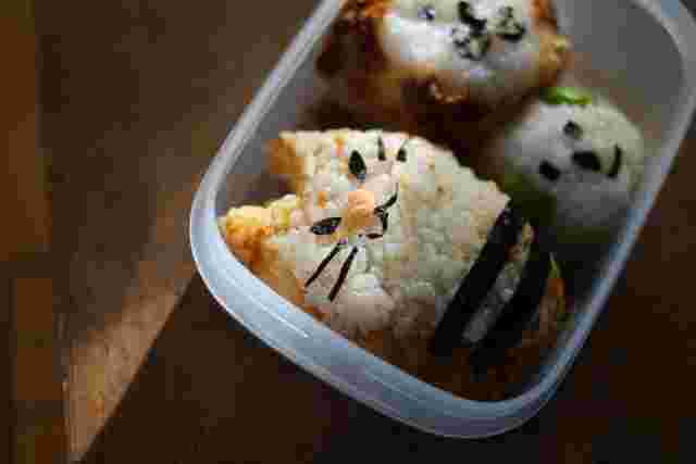 陽射しを浴びる動物のタッパー弁当