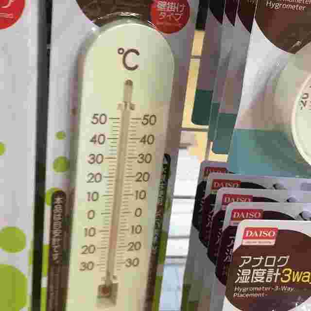 温度計L
