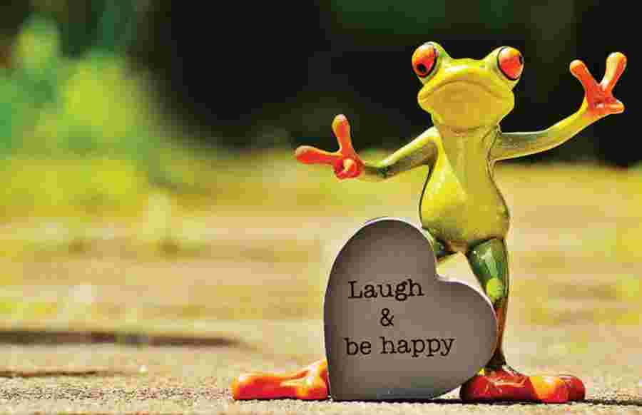 be happyのカエル