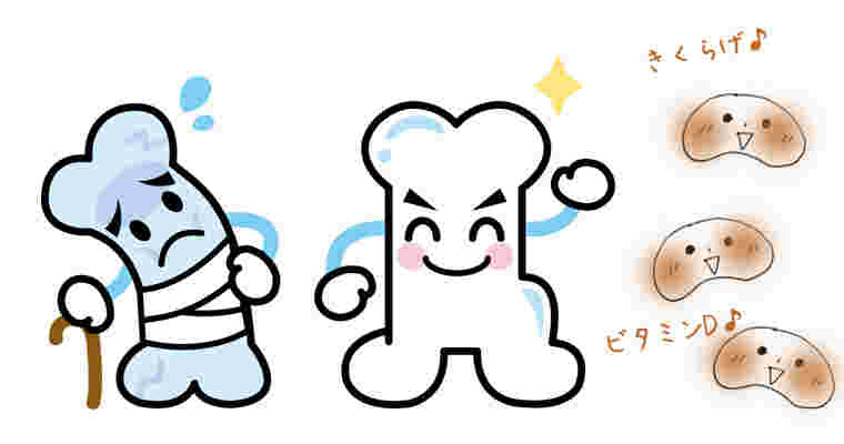 弱った骨と丈夫な骨、きくらげのイラスト