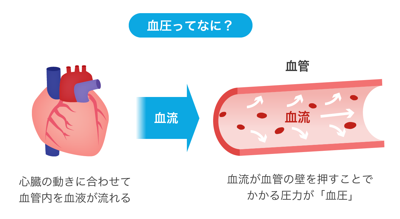 心臓と血管のイラストと血圧の説明