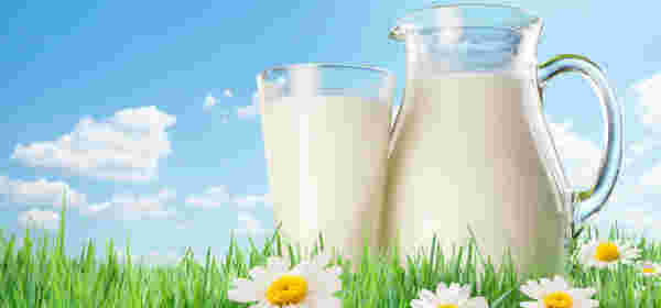 花畑と牛乳の画像