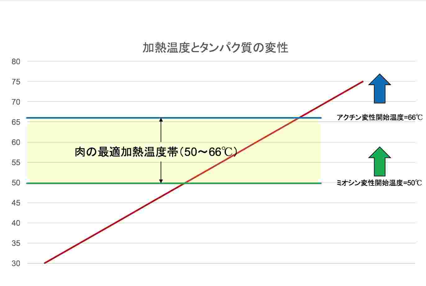 温度とタンパク質の変化の図