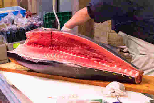 マグロをさばく画像