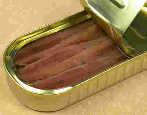 アンチョビの画像