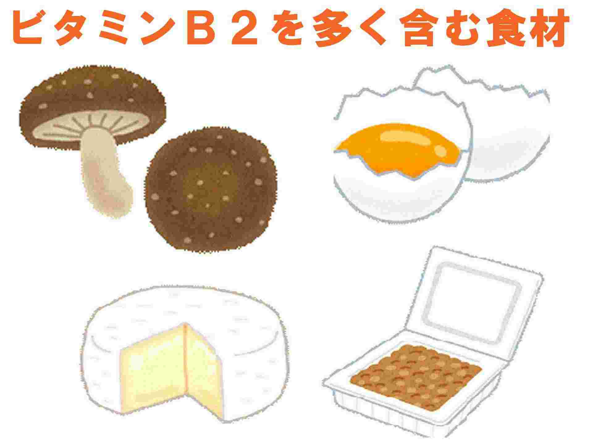 ビタミンB2を多く含む食品イラスト