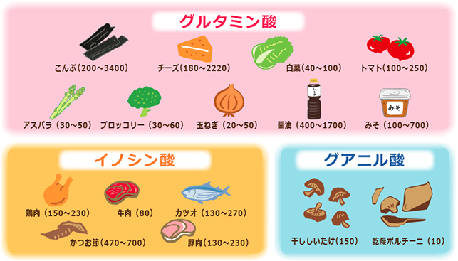 旨味成分をもつ食品イラスト