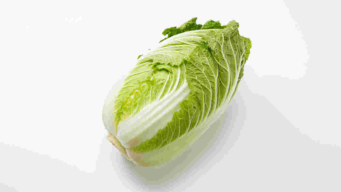 1株の白菜