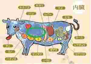 部位の説明図