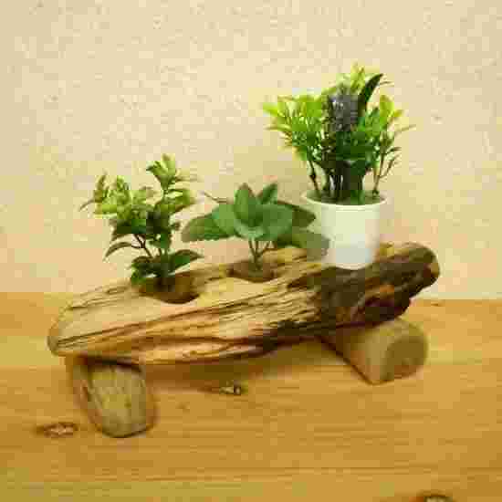 植木スタンドの様子